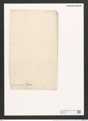 Nitzschia marginulata var. formicina Grun. (de-Toni-Nr.: Genus 47, Species 2016) Zeichnungen Sammlung Grunow (NHMW-BOT-W0371777)